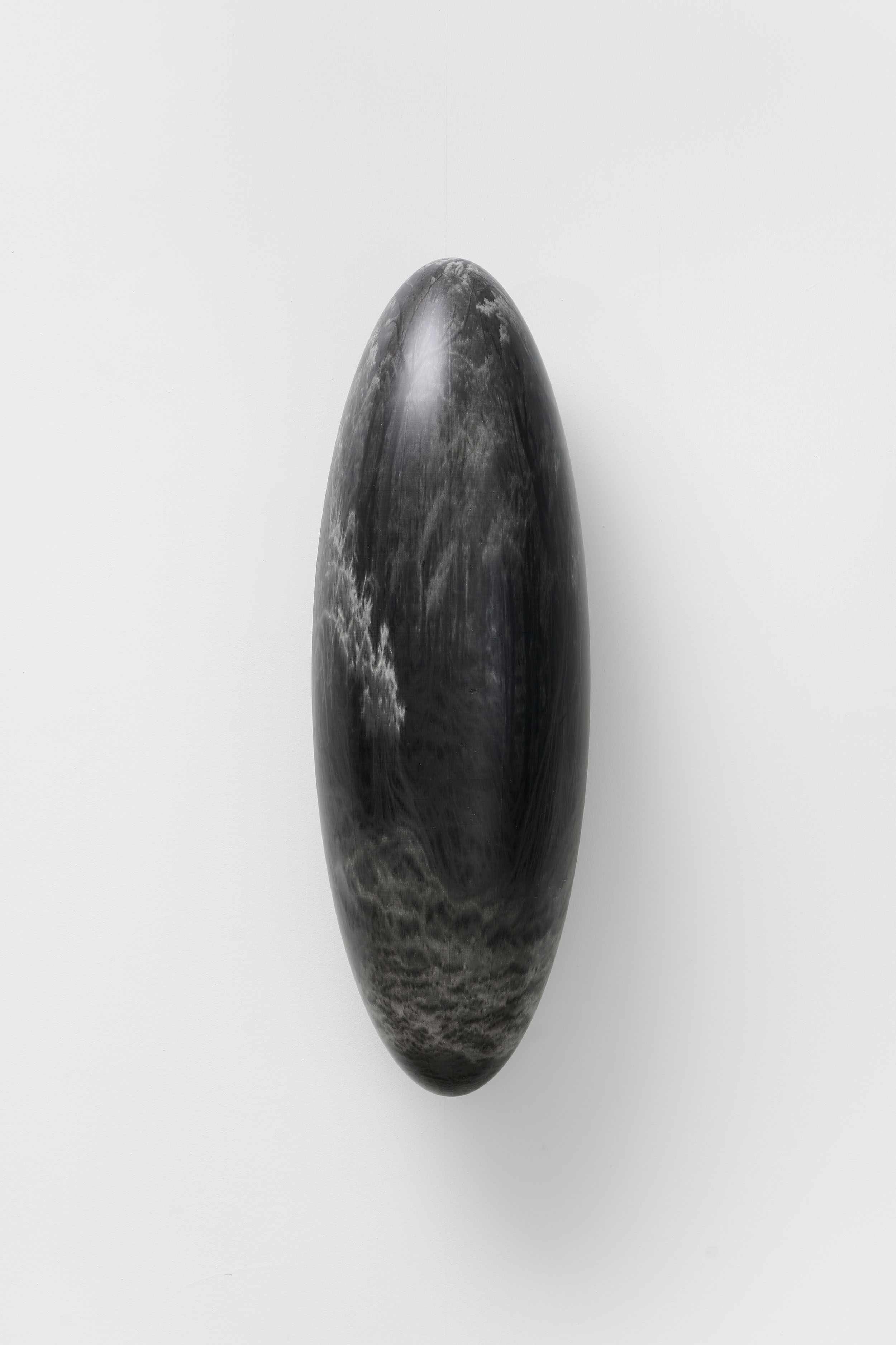 Reflected Suspense: Lost Forest